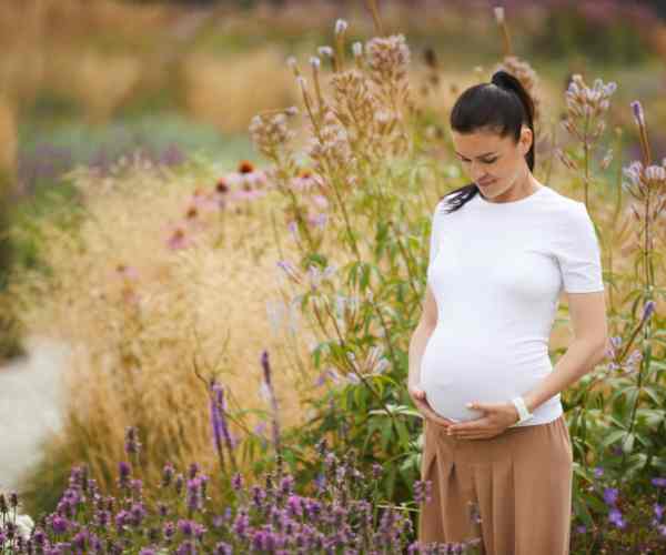 Holistic Pregnancy Care